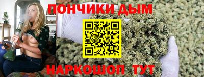 стаф Лесосибирск