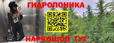 амф Ликино-Дулёво